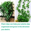 Plant Climbing Wall Fixture Clips, 100Pcs Self-Adhesive Plant Fixer Wall