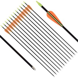 GPP 28" Fiberglass Archery Target Arrows - Practice Arrow or Youth Arrow for Recurve Bow- 12 Pack