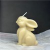 1 Pack Bunny Candle Molds Silicone Molds for Candle Making,