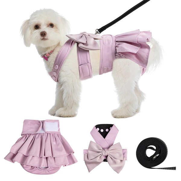 wegreeco Reusable Washable Small Puppy Dog Diapers Female with Dog