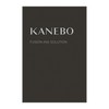 Kanebo Fusion Solution (Refill) [Serum]