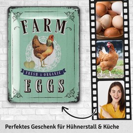 LANOLU Retro Tin Sign Chicken Coop Sign - Chickens Sign Fresh Eggs Farm Fresh Eggs - Chicken Decoration Gift as Chicken Coop Accessories and Wall Decoration for the Kitchen, Metal Sign 15 x 20 cm