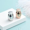 AIWENXI Small Keepsake Urn for Human & Pet Ashes -