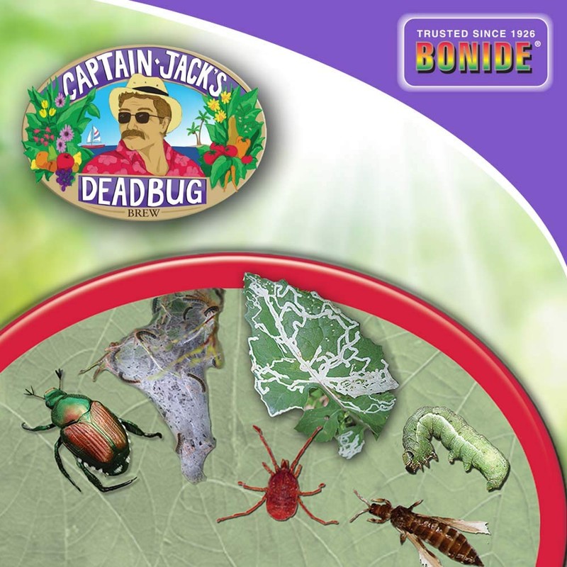 Bonide Chemical 258 Number-4 Captain Jack Dead Bug Dust, 4