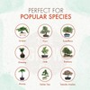 Bonsai Fertilizer - Gentle Slow Release Plant Food Pellets -