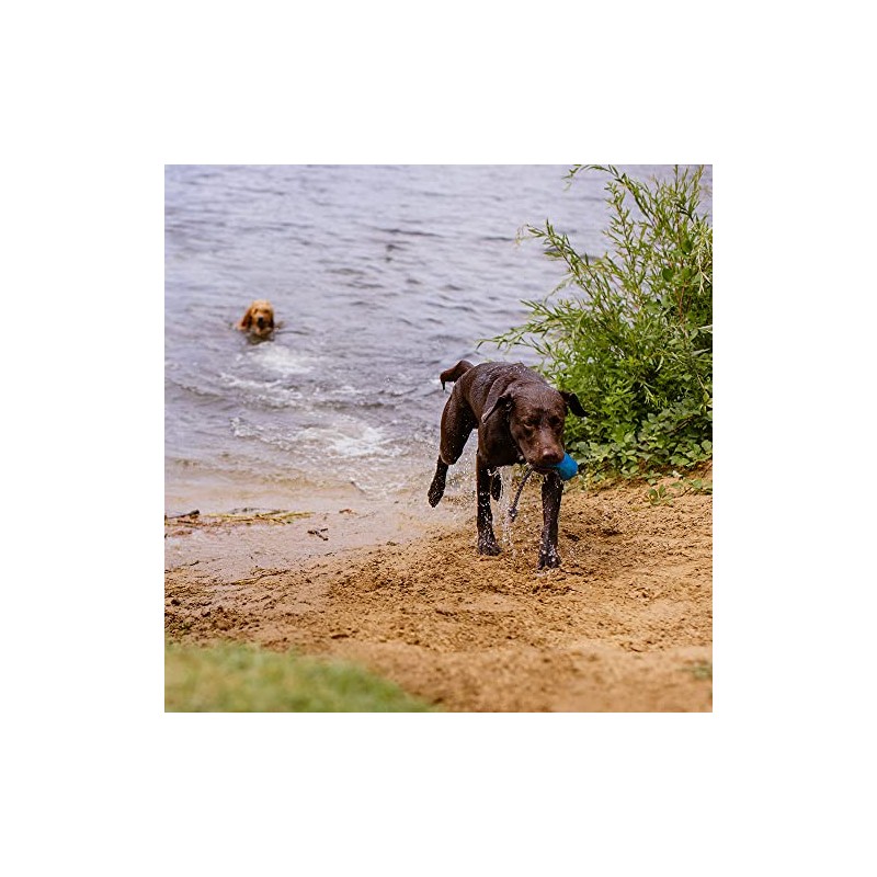 Nobby Snack Dummy Rio