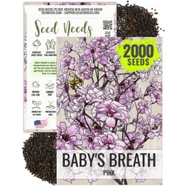 Seed Needs Pink Baby's Breath Seeds for Planting Rosy Pink Blooms - Heirloom & Open Pollinated Wildflowers to Attract Pollinators to a Butterfly Garden - Great for Cut Flowers (1 Pack)