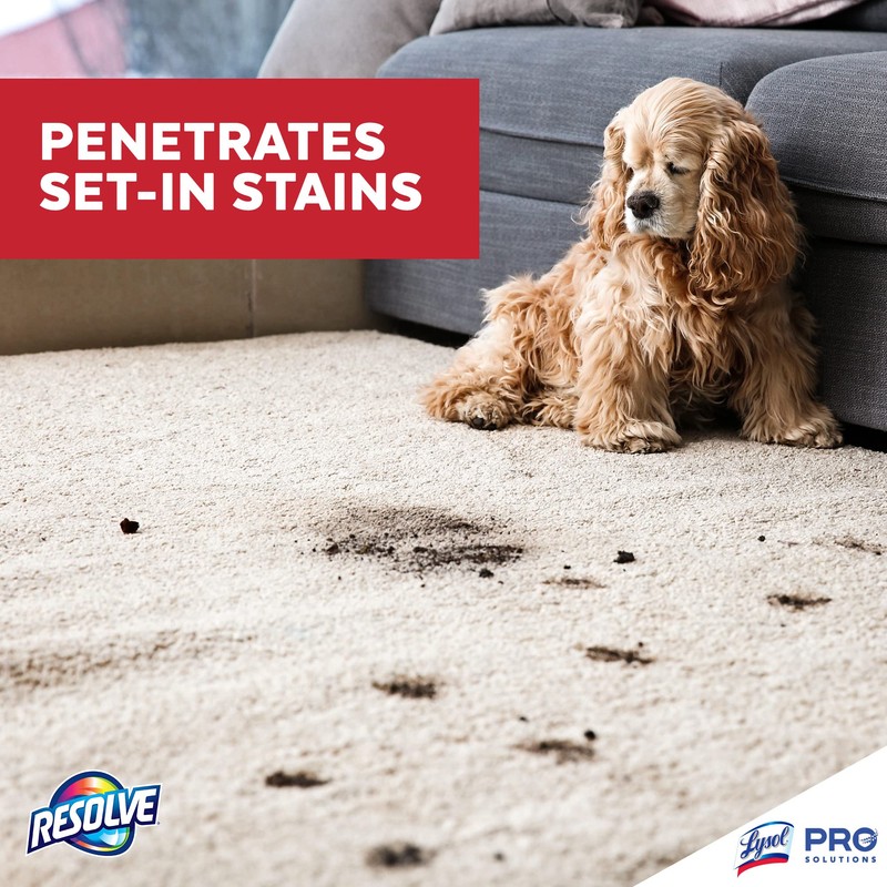 Resolve Professional Strength Spot and Stain Carpet Cleaner, 32 oz