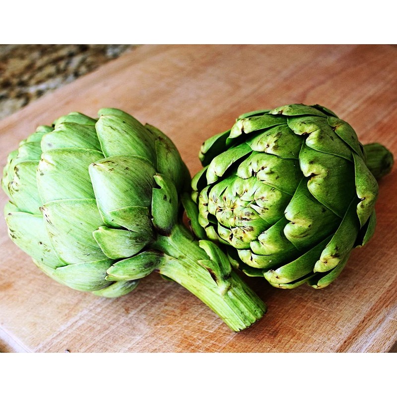 NIKA SEEDS - Seeds Vegetable Green Globe Artichoke - 20
