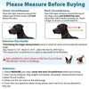 BARKLESS Sturdy No Pull Head Collar for Medium Large Dogs,