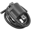 Caltric Ignition Coil for Polaris Atp 330 2004 2005 /