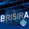 BRISIRA Mens Swim Trunks Bathing Suit 5 Inch Inseam Compression