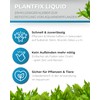 Dupla Plant Fix Liquid for Aquarium, 20 g
