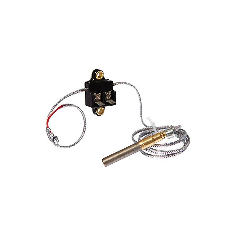 Honeywell Q313B1005 Powerpile with Junction Block, 750 mv