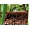 Mister Landscaper 100-ft Coil 1/4-in In-Line Drip Tubing