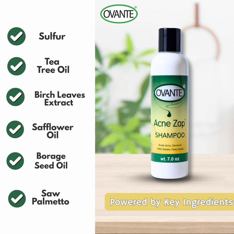 Acne Zap - Shampoo for Scalp Acne – Clear Scalp