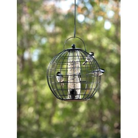 Gardener's Supply Company Globe Cage Bird Feeder | Outdoor Sturdy and Squirrel Proof Hanging Cage | Best for Finches Hummingbirds Nuthatches and Other Small Birds - Holds 3 Cups of Seeds
