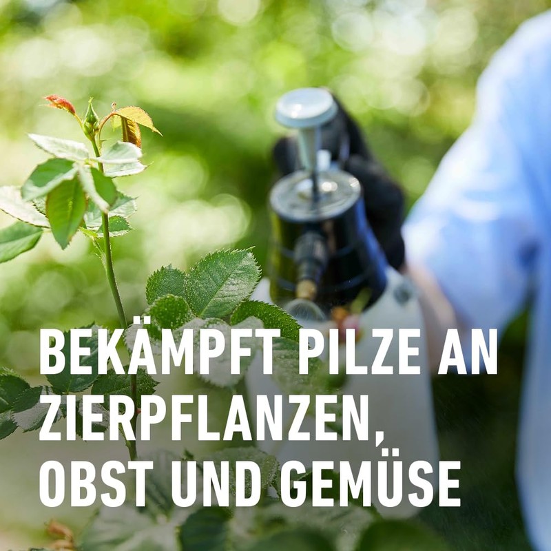 Compo Duaxo® universal fungus-free plant protector