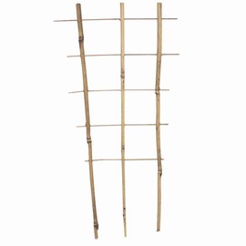 Siena Garden Bamboo Trellis 45 cm