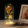 Rose in Glass Dome Lucky Beautiful Symbolism Romantic Enchanted Rose