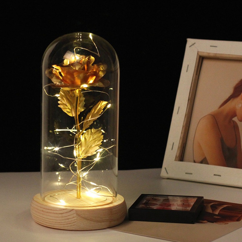 Rose in Glass Dome Lucky Beautiful Symbolism Romantic Enchanted Rose