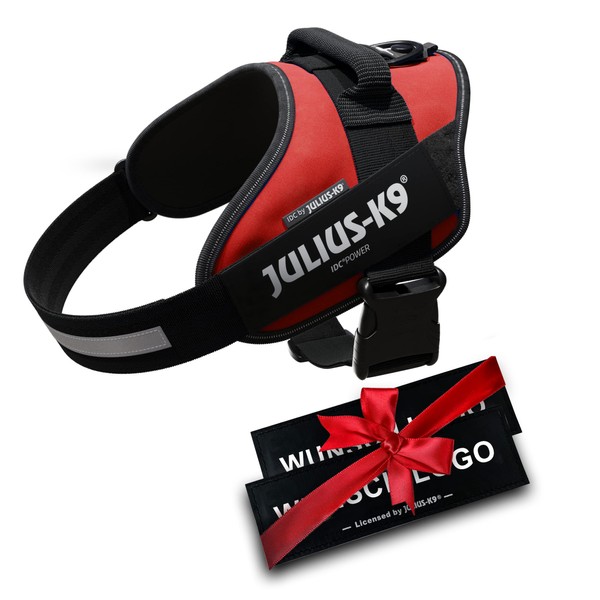 JULIUS K-9 IDC Power Harnesses Red with Individual Velcro Lettering
