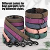 Didog Soft Padded Leather Dog Collar and Leash Set, Heavy