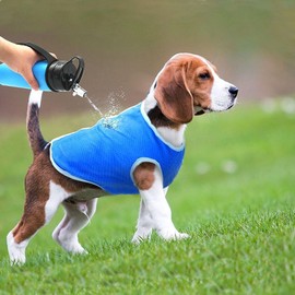 Dog Cooling Coat, Breathable Adjustable Summer Cooling Vest for Small, Lightweight Dog Sunscreen Protection for Outdoor Walks, Hiking & Training, Keeps Pets Cool (M)