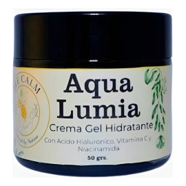 Crema Gel Hidratante Con Ácido Hialurónico De Alta Absorción Mixta Día/noche