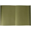 Folder Papel Carta Pendaflex Colgante Color Verde C/25 Pzs