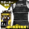 WETECH WJ-8061 Waist Supporter M/L