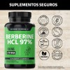 Berberina Hcl 500mg Clorhidrato Potenciado Piperina Pimienta Negra Raíz Cúrcuma