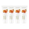 Nature Republic 1+1+1+1 Fresh Herb Peach Foam Cleansing / 네이처리퍼블릭