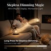 Battery operated lamp,Camping Rechargeable Lantern for Power Outages Essentials,Cordless Outdoor