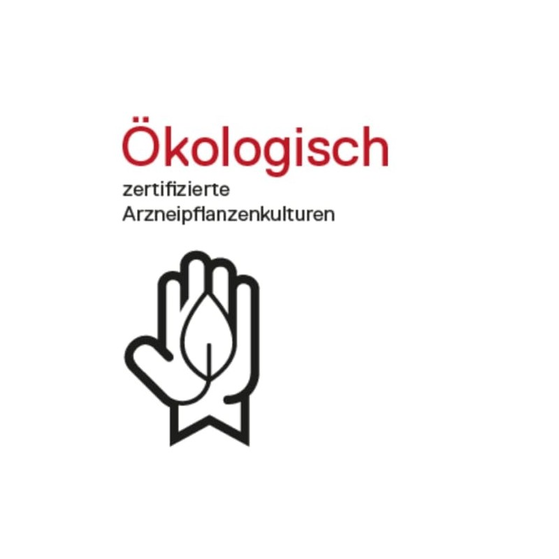 DHU DHU Okoubaka D3 Streukgelchen, 10 g Globuli