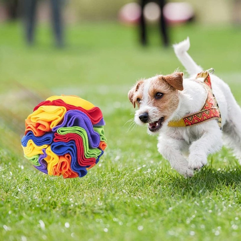 ‌Snuffle Ball Dog Toy, Mental Stimulation & Anxiety Relief Washable