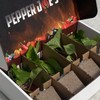 Pepper Joe’s Carolina Reaper Plants – 4 Live World's Hottest