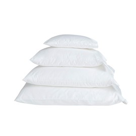 Jasmine Silk Luxury 100% Mulberry Silk Boudior Pillow (30 x 40cm)