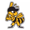 Salt Lake Bees sticker MiLB weatherproof bumper vinyl decal - 3  inch