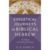 Exegetical Journeys in Biblical Hebrew: 90 Days of Guided Reading