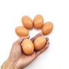 Wooden Egg Fake Egg Hens Eggs Dummy Eggs Help Laying