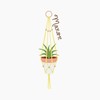 CafePress Macrame Hanger Magnets 2.25" Magnet (100 pack)