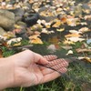 Vocray Koi Pond Netting for Leaves 20x20 Ft, 1/2 in