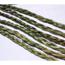 6 Pieces (Braids) Braided SWEETGRASS for SMUDGING Wicca Pagan Spiritual 20 to 24" Long - Healing, Cleansing
