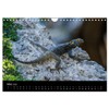 Reptilienkalender 2025 (Wandkalender 2025 DIN A4 quer), CALVENDO Monatskalender [Calendar]