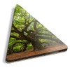 1 x Triangle Coaster - Old Tree Forest Nature Oak
