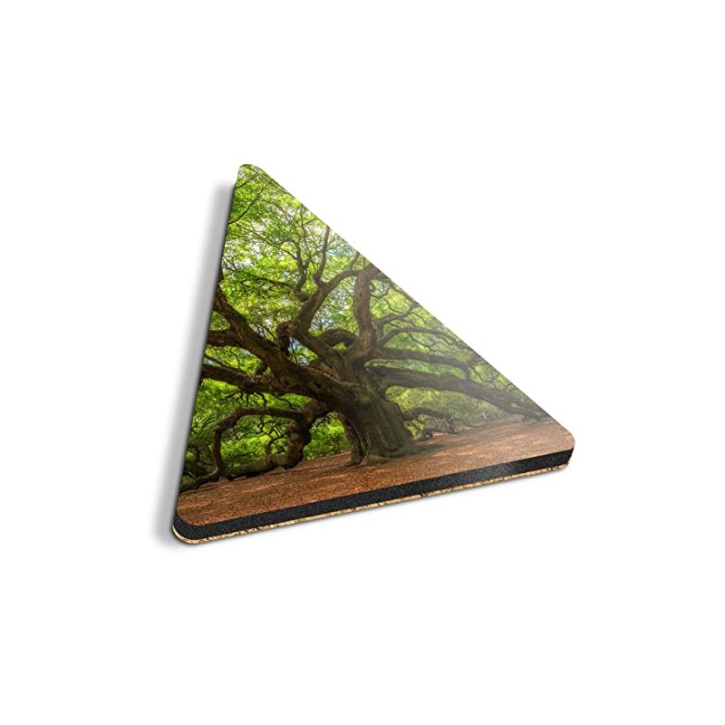 1 x Triangle Coaster - Old Tree Forest Nature Oak