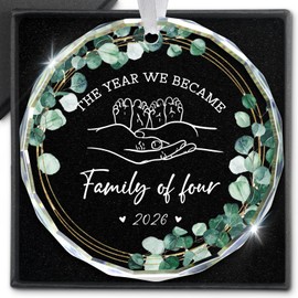 New Parents Gifts for Couples The Year We Became Family of Four 2026 Gifts for Expecting Parents Pregnant Expecting Baby Glass Ornament 2026 First Time Parents Ornament Baby Announcement Gift