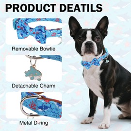 DILLYBUD Shark Dog Bow Tie Collar for Small Medium Large Dogs - Adjustable Detachable Bowtie Summer Collar with Safety Buckle for Puppy Boy Girl Pet Neck Size 10-15 inch S