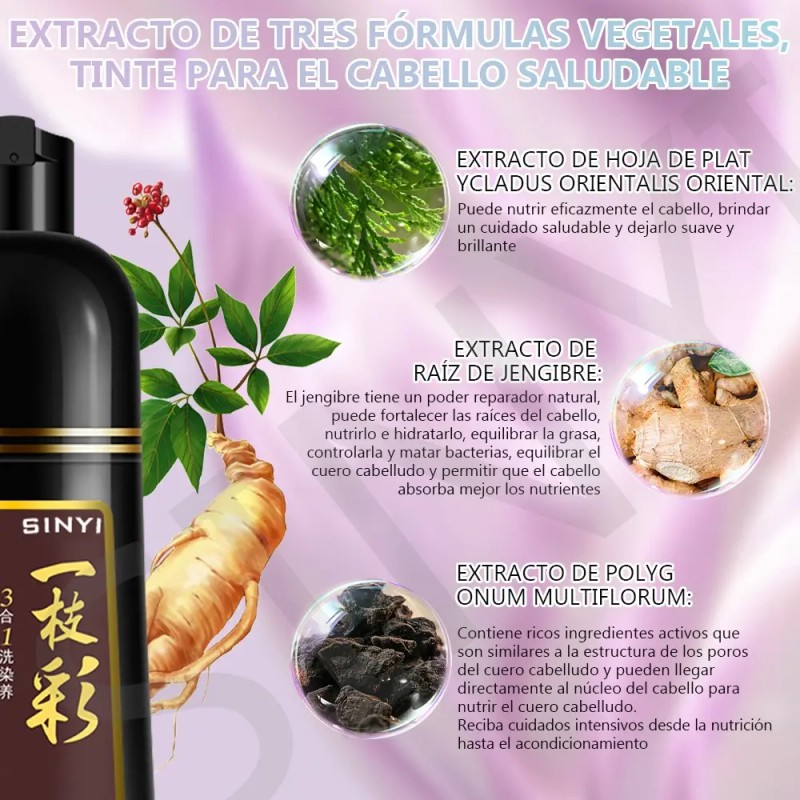 Shampoo Tinte Instantáneo Cubre Canas Natural Jengibre 500ml